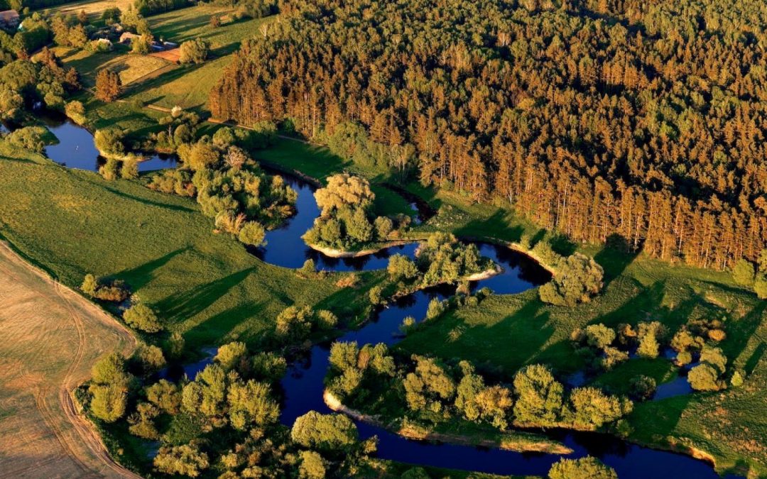Trisdešimt metų laisvi