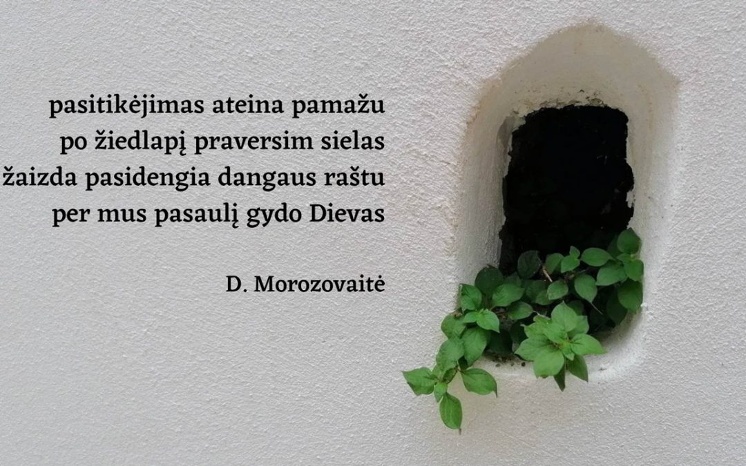 Pasitikėjimas ateina pamažu…
