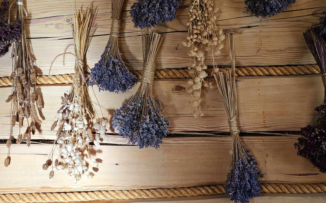 NELYG NUOTAKOS ILGESYS | Meditacija Advento II savaitei